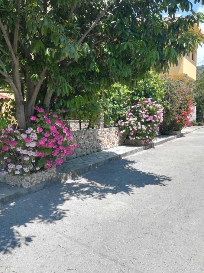 Apartament Vasileiou Kala Nera Zewnętrze zdjęcie